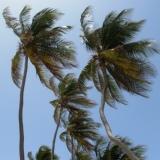 Barbados